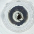  ( - IMSP_024_B7)  @11 [ ] by  Genome Research Ltd as Wellcome Sanger Institute Genome Research Limited operating as Wellcome Sanger Institute