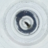  ( - IMSP_024_D7)  @11 [ ] by  Genome Research Ltd as Wellcome Sanger Institute Genome Research Limited operating as Wellcome Sanger Institute