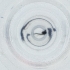  ( - IMSP_024_F9)  @11 [ ] by  Genome Research Ltd as Wellcome Sanger Institute Genome Research Limited operating as Wellcome Sanger Institute