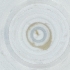  ( - IMSP_024_G5)  @11 [ ] by  Genome Research Ltd as Wellcome Sanger Institute Genome Research Limited operating as Wellcome Sanger Institute