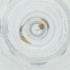  ( - IMSP_025_B9)  @11 [ ] by  Genome Research Ltd as Wellcome Sanger Institute Genome Research Limited operating as Wellcome Sanger Institute