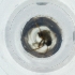  ( - IMSP_026_D2)  @11 [ ] by  Genome Research Ltd as Wellcome Sanger Institute Genome Research Limited operating as Wellcome Sanger Institute