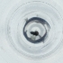  ( - IMSP_026_E4)  @11 [ ] by  Genome Research Ltd as Wellcome Sanger Institute Genome Research Limited operating as Wellcome Sanger Institute