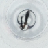  ( - IMSP_027_D10)  @11 [ ] by  Genome Research Ltd as Wellcome Sanger Institute Genome Research Limited operating as Wellcome Sanger Institute