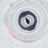  ( - IMSP_028_F11)  @11 [ ] by  Genome Research Ltd as Wellcome Sanger Institute Genome Research Limited operating as Wellcome Sanger Institute