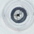  ( - IMSP_029_F8)  @11 [ ] by  Genome Research Ltd as Wellcome Sanger Institute Genome Research Limited operating as Wellcome Sanger Institute