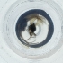  ( - IMSP_029_H6)  @11 [ ] by  Genome Research Ltd as Wellcome Sanger Institute Genome Research Limited operating as Wellcome Sanger Institute