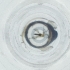  ( - IMSP_030_C2)  @11 [ ] by  Genome Research Ltd as Wellcome Sanger Institute Genome Research Limited operating as Wellcome Sanger Institute