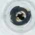  ( - IMSP_032_E8)  @11 [ ] by  Genome Research Ltd as Wellcome Sanger Institute Genome Research Limited operating as Wellcome Sanger Institute