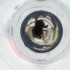  ( - IMSP_032_F11)  @11 [ ] by  Genome Research Ltd as Wellcome Sanger Institute Genome Research Limited operating as Wellcome Sanger Institute