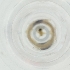  ( - IMSP_034_F8)  @11 [ ] by  Genome Research Ltd as Wellcome Sanger Institute Genome Research Limited operating as Wellcome Sanger Institute