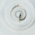  (Elaphropeza ephippiata - IMSP_037_A8)  @11 [ ] by  Genome Research Ltd as Wellcome Sanger Institute Genome Research Limited operating as Wellcome Sanger Institute
