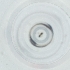  (Platystasius - IMSP_038_G8)  @11 [ ] by  Genome Research Ltd as Wellcome Sanger Institute Genome Research Limited operating as Wellcome Sanger Institute