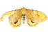  ( - BC-INCT0864)  @13 [ ] CreativeCommons - Attribution (2010) CBG Photography Group Centre for Biodiversity Genomics