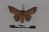  ( - BC-INCT1142)  @13 [ ] CreativeCommons - Attribution Share-Alike (2019) Unspecified Universite Montpellier, CEFE Lab
