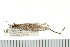  ( - 06-FLOR-9010)  @13 [ ] CreativeCommons - Attribution (2008) Unspecified Centre for Biodiversity Genomics