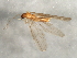 ( - 08INHSP-399)  @11 [ ] CreativeCommons - Attribution (2009) Unspecified Centre for Biodiversity Genomics