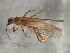  ( - 08INHSP-406)  @11 [ ] CreativeCommons - Attribution (2009) Unspecified Centre for Biodiversity Genomics