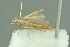 ( - INDOBIOSYS-CCDB26182-B02)  @12 [ ] CreativeCommons - Attribution Non-Commercial Share-Alike (2016) SNSB, Staatliche Naturwissenschaftliche Sammlungen Bayerns ZSM (SNSB, Zoologische Staatssammlung Muenchen)