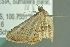  ( - INDOBIOSYS-CCDB26200-E12)  @12 [ ] CreativeCommons - Attribution Non-Commercial Share-Alike (2016) SNSB, Staatliche Naturwissenschaftliche Sammlungen Bayerns ZSM (SNSB, Zoologische Staatssammlung Muenchen)