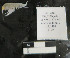  ( - I18_1180)  @11 [ ] c (2018) Terue Kihara DZMB Senckenberg am Meer