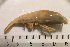  ( - I13_128)  @11 [ ] Copyright (2013) Terue Cristina Kihara German Center for Marine Biodiversity Research