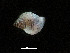  ( - I15_249)  @11 [ ] Copyright © (2025) Terue Cristina Kihara German Center for Marine Biodiversity Research
