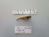  ( - I15_401)  @11 [ ] Copyright © (2025) Terue Cristina Kihara German Center for Marine Biodiversity Research