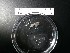  ( - I16_182)  @11 [ ] Copyright © (2025) Terue Cristina Kihara German Center for Marine Biodiversity Research