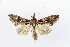  ( - NPC025)  @11 [ ] Unspecified (default): All Rights Reserved  Unspecified Unspecified