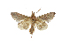  ( - NPC025)  @11 [ ] Unspecified (default): All Rights Reserved  Unspecified Unspecified