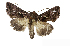  ( - NPC028)  @11 [ ] Unspecified (default): All Rights Reserved  Unspecified Unspecified