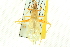  ( - BIOUG02793-D09)  @12 [ ] CreativeCommons - Attribution (2012) CBG Photography Group Centre for Biodiversity Genomics