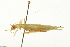  ( - BIOUG02793-D10)  @13 [ ] CreativeCommons - Attribution (2012) CBG Photography Group Centre for Biodiversity Genomics