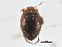  ( - BIOUG09882-A02)  @11 [ ] CreativeCommons - Attribution (2014) CBG Photography Group Centre for Biodiversity Genomics