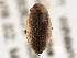  ( - BIOUG09882-A04)  @13 [ ] CreativeCommons - Attribution (2014) CBG Photography Group Centre for Biodiversity Genomics