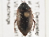  ( - BIOUG09882-A12)  @14 [ ] CreativeCommons - Attribution (2014) CBG Photography Group Centre for Biodiversity Genomics