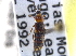  ( - BIOUG09884-D07)  @11 [ ] CreativeCommons - Attribution (2014) CBG Photography Group Centre for Biodiversity Genomics