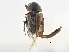  ( - BIOUG09885-C03)  @11 [ ] CreativeCommons - Attribution (2014) CBG Photography Group Centre for Biodiversity Genomics