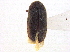 ( - BIOUG09886-E04)  @11 [ ] CreativeCommons - Attribution (2014) CBG Photography Group Centre for Biodiversity Genomics