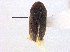  ( - BIOUG09886-E05)  @11 [ ] CreativeCommons - Attribution (2014) CBG Photography Group Centre for Biodiversity Genomics