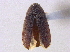  ( - BIOUG09886-E08)  @11 [ ] CreativeCommons - Attribution (2014) CBG Photography Group Centre for Biodiversity Genomics