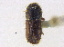  ( - BIOUG09886-H10)  @11 [ ] CreativeCommons - Attribution (2014) CBG Photography Group Centre for Biodiversity Genomics