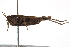  ( - BIOUG10136-B02)  @13 [ ] CreativeCommons - Attribution (2014) CBG Photography Group Centre for Biodiversity Genomics
