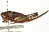 ( - BIOUG10136-C10)  @14 [ ] CreativeCommons - Attribution (2014) CBG Photography Group Centre for Biodiversity Genomics