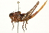  ( - BIOUG10136-C11)  @14 [ ] CreativeCommons - Attribution (2014) CBG Photography Group Centre for Biodiversity Genomics