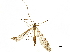  ( - BIOUG47277-E10)  @13 [ ] CreativeCommons - Attribution (2019) CBG Photography Group Centre for Biodiversity Genomics