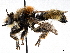  ( - BIOUG56824-E05)  @11 [ ] CreativeCommons - Attribution (2021) CBG Photography Group Centre for Biodiversity Genomics