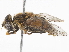  ( - BIOUG56825-C10)  @11 [ ] CreativeCommons - Attribution (2021) CBG Photography Group Centre for Biodiversity Genomics