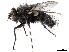  ( - BIOUG56825-H09)  @11 [ ] CreativeCommons - Attribution (2021) CBG Photography Group Centre for Biodiversity Genomics